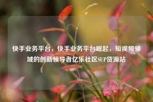 快手业务平台，快手业务平台崛起，短视频领域的创新领导者亿乐社区SUP货源站  第1张
